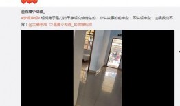 房东爆料直播视频大全最新,最新视频大全深度解析